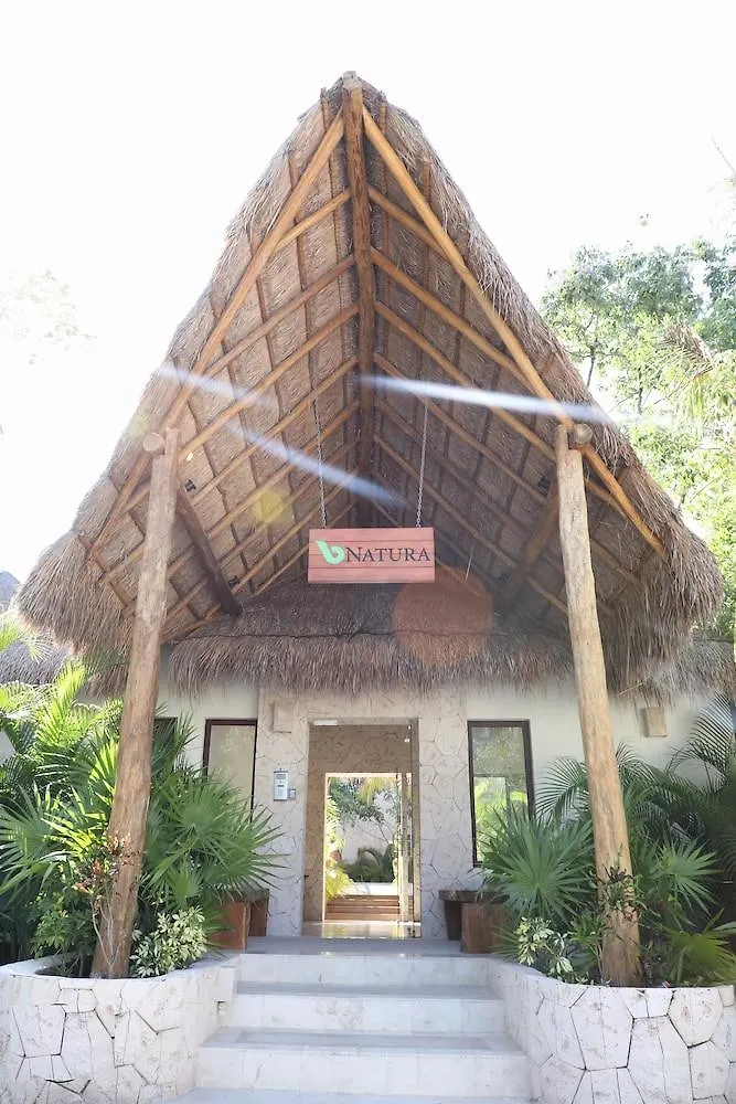 Villa Ka Ax 3 Bdrm Pth Rooftop Sleeps 7 툴룸 호텔